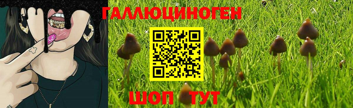 Удомля  Псилоцибиновые грибы Cubensis  наркотики  Вход с VPN 